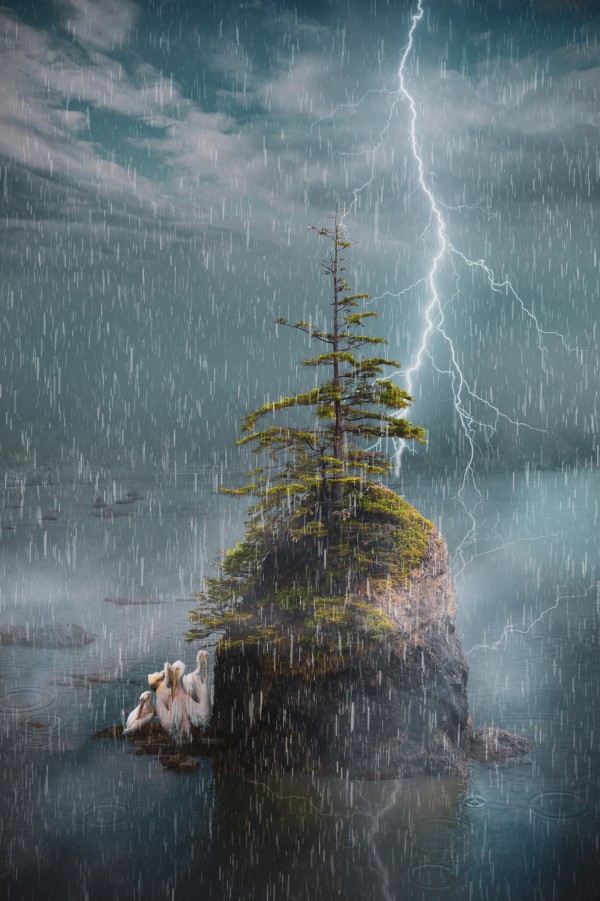 Sheltering from the storm by Rafael Ramirez